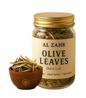 Olive Leaves